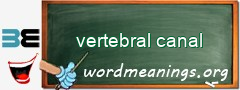WordMeaning blackboard for vertebral canal